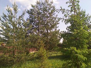 1920 X 1440 392.9 Kb 1920 X 1440 207.3 Kb 1920 X 1440 251.6 Kb Продам загородный дом - дачу в Постоле. Фото.