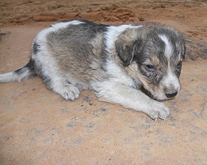 772 X 614 248.2 Kb 882 X 584 284.7 Kb 865 X 724 341.7 Kb  ()