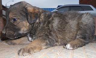 873 X 525 273.0 Kb 772 X 614 248.2 Kb 882 X 584 284.7 Kb 865 X 724 341.7 Kb  ()