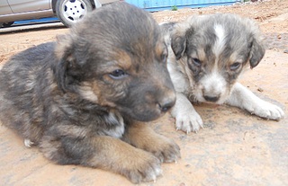 914 X 592 213.8 Kb 873 X 525 273.0 Kb 772 X 614 248.2 Kb 882 X 584 284.7 Kb 865 X 724 341.7 Kb  ()