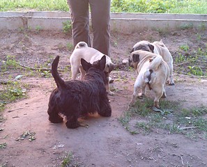 1627 X 1314 611.5 Kb  