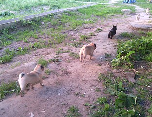 1920 X 1472 814.8 Kb 1816 X 1314 512.6 Kb 1627 X 1314 611.5 Kb  