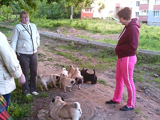 1920 X 1440 752.3 Kb  