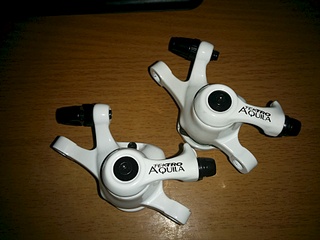 1920 X 1440 500.9 Kb   