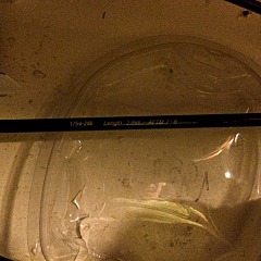 1920 X 1920 728.2 Kb 1920 X 1920 786.9 Kb 1920 X 1440 494.7 Kb 