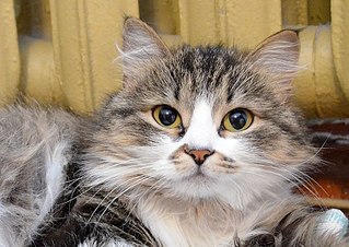 807 X 571 126.7 Kb 1920 X 1079 640.0 Kb   