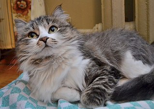 807 X 571 101.9 Kb 807 X 571 126.7 Kb 1920 X 1079 640.0 Kb   