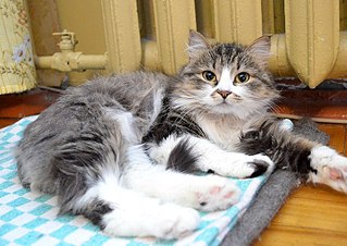 807 X 571 105.6 Kb 807 X 571 101.9 Kb 807 X 571 126.7 Kb 1920 X 1079 640.0 Kb   