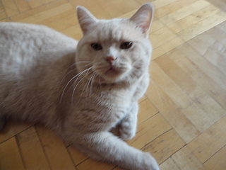 1920 X 1440 935.2 Kb 1920 X 1440 430.1 Kb        