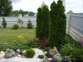 1600 X 1200 797.8 Kb  ,  