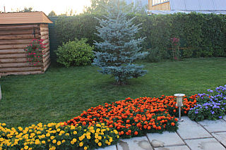 640 X 426  76.7 Kb 640 X 426  50.8 Kb 640 X 426  70.9 Kb  ,  