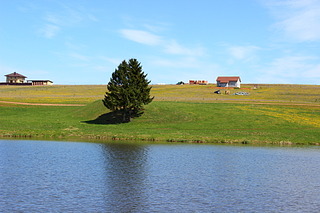 320 x 213 Опель-клуб