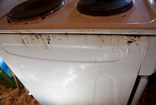 1920 X 1285 354.7 Kb 1920 X 2868 681.7 Kb 1920 X 2868 663.3 Kb  \ 3 , , 