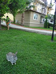 453 X 604 100.1 Kb 604 X 453 88.8 Kb 604 X 453 115.1 Kb Отдых с грудничком