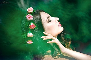 807 X 538 71.3 Kb  ! 