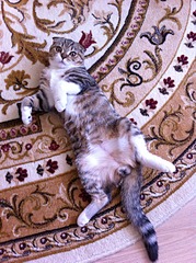 1920 X 2570 669.7 Kb        