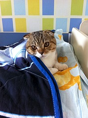 1920 X 2570 475.8 Kb        