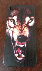 1556 X 2592 685.1 Kb 800 X 531 134.2 Kb 350 X 350 62.4 Kb     Iphone.