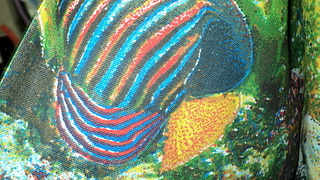 1920 X 1080 932.0 Kb 1920 X 956 365.9 Kb    