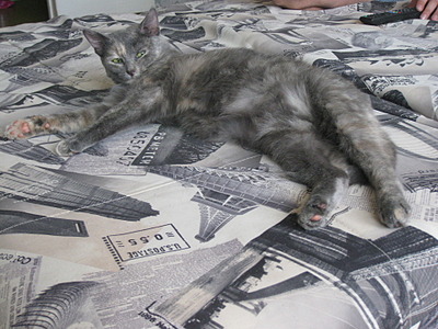 400 x 300 400 x 300      !