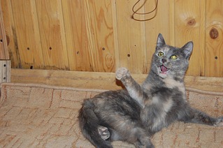 319 x 212 319 x 212      !