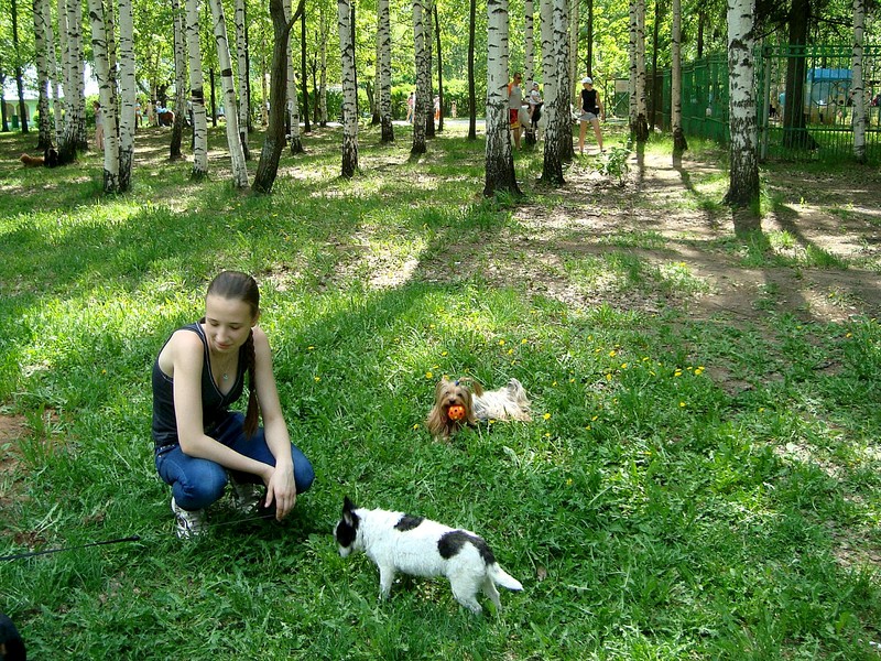 1320 X 990 645.1 Kb 1920 X 1440 528.3 Kb 1920 X 1440 576.1 Kb Вот МОЯ деревня...АКУНА МАТАТА) - всякой твари по паре. ПРОДАЮ ШИНШИЛЛ, СВИНОК, МЫШЕЙ