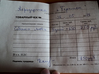 1920 X 1440 487.0 Kb Собаке, родившей под окнами жилого дома, нужна фин.помощь!