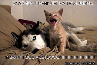 700 X 466 61.2 Kb Улыбнемся?
