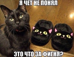 484 X 373 54.3 Kb Улыбнемся?
