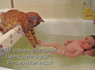 492 X 364 35.3 Kb 600 X 431 100.2 Kb 570 X 361 49.3 Kb 500 X 381 42.6 Kb 484 X 373 54.3 Kb Улыбнемся?