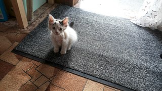 1920 X 1080 513.8 Kb   .    