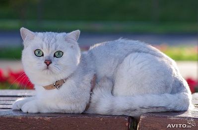 640 X 420  31.7 Kb    !