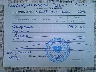 1280 X 960 229.4 Kb Прошу помощи на оплату передержки Рыжика и Кнопки