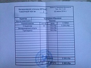1280 X 960 194.7 Kb 1280 X 960 229.4 Kb Прошу помощи на оплату передержки Рыжика и Кнопки