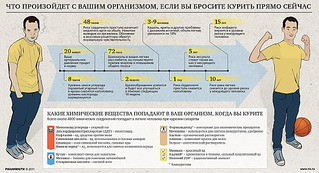 1200 X 650 324.9 Kb Где можно курить в городе?