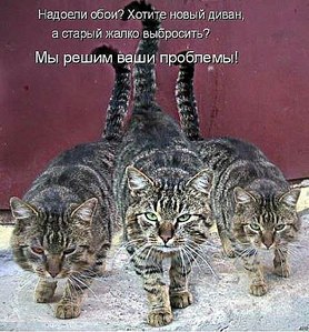 446 X 480 57.4 Kb 526 X 371 56.5 Kb Улыбнемся?