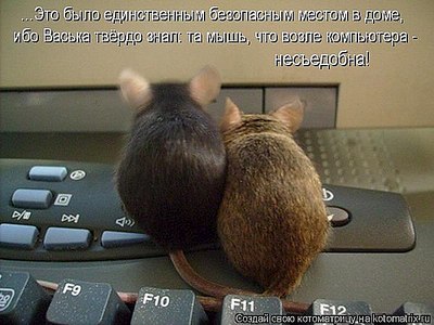 600 X 450 61.1 Kb 446 X 480 57.4 Kb 526 X 371 56.5 Kb Улыбнемся?
