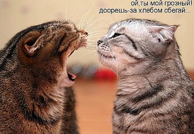 600 X 414 77.2 Kb 600 X 450 61.1 Kb 446 X 480 57.4 Kb 526 X 371 56.5 Kb Улыбнемся?