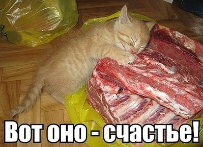 600 X 433 67.2 Kb 600 X 426 70.4 Kb 500 X 375 41.7 Kb 600 X 394 85.7 Kb Улыбнемся?