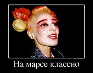 760 X 597 54.6 Kb Вот МОЯ деревня...АКУНА МАТАТА) - всякой твари по паре. ПРОДАЮ ШИНШИЛЛ, СВИНОК, МЫШЕЙ