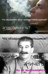 587 X 895 76.7 Kb Где можно курить в городе?
