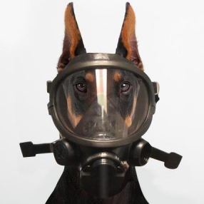 286 x 286 500 X 499 44.5 Kb 498 X 640 59.7 Kb 640 X 360 29.4 Kb Любите ли вы лето