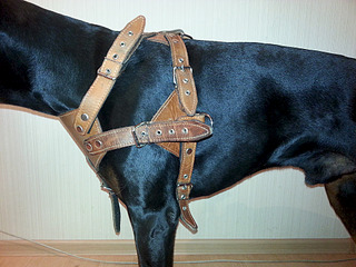 1920 X 1440 913.1 Kb 