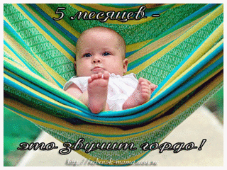 640 X 480 541.8 Kb Домик малышей 2014 и их родителей