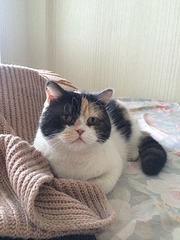 576 X 768 112.6 Kb      !