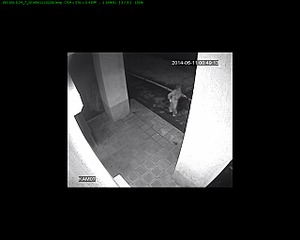 1280 X 1024  37.5 Kb    