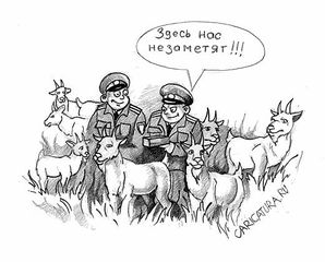 521 X 419  38.1 Kb ДПС на мото?