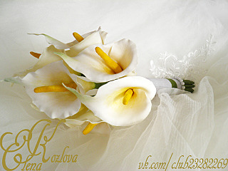 1280 X 960 870.0 Kb 960 X 1280 778.4 Kb    