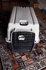 800 X 1204 411.9 Kb      100x67x75