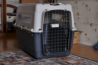 1920 X 1275 461.4 Kb 1920 X 1275 835.8 Kb 800 X 1204 411.9 Kb      100x67x75